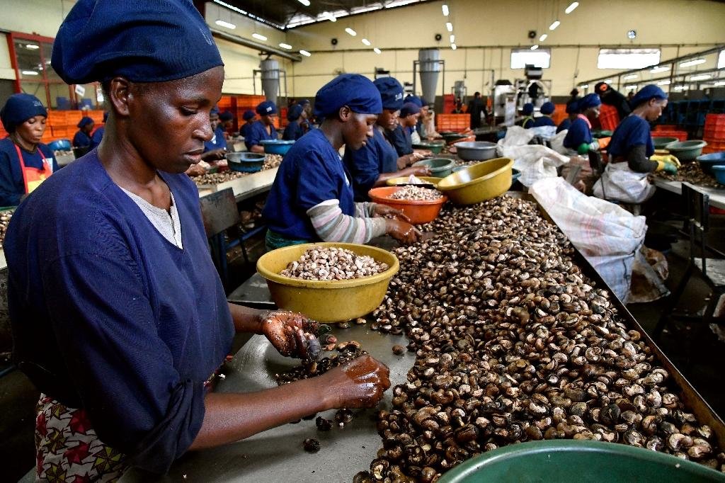 Food Production Industry